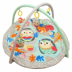 Uilen Speelkleed - Zacht & Kleurrijk - Actieve Babygym