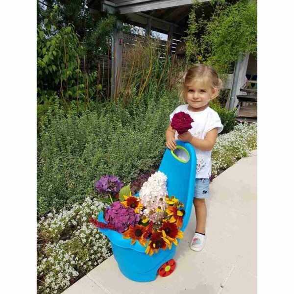 Multifunctionele speelgoed trolley 60 cm - rode tuinkar - Afbeelding 2