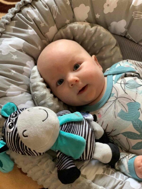 Zebra knuffel met bijtspeeltje en clip - Educatief