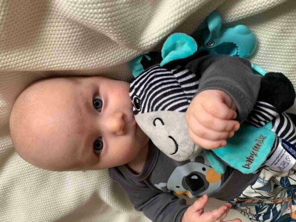 Zebra knuffel met bijtspeeltje en clip - Educatief - Afbeelding 2
