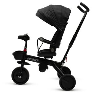 Driewieler met Comfortabele Zitting - Zwart